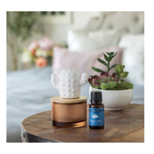 Airome Cactus Porcelain Diffuser