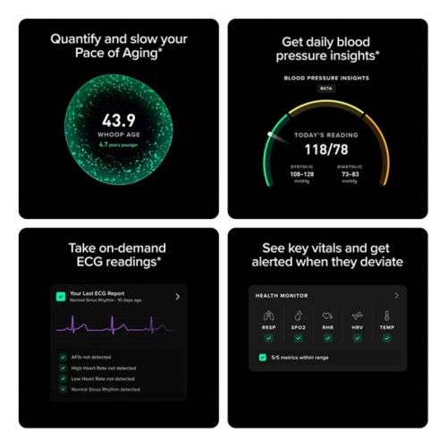 WHOOP Life Activity Tracker w/ 12-month Membership