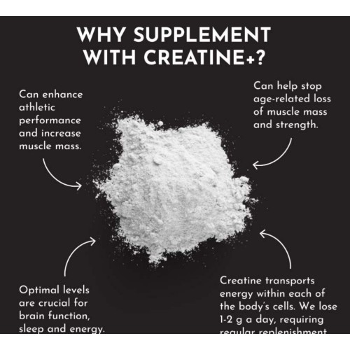 Just Ingredients Creatine+