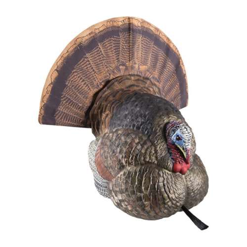 Avian-X LCD Strutter Tom Turkey Decoy