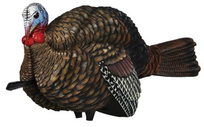 Avian-X LCD Half Strut Jake Turkey Decoy