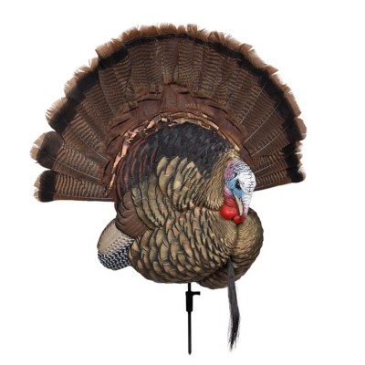 Avian-X Trophy Tom Mount Turkey Decoy