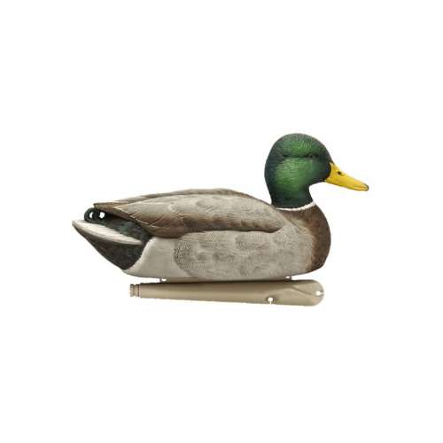 Avian-X Topflight Open Water Mallard Decoy 6-Pack