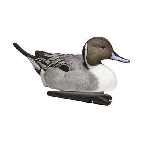 AvianX Top Flight Pintail Decoys 6Pack