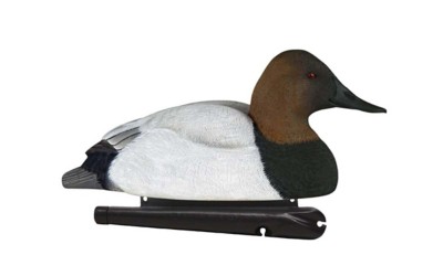 Avian-X Topflight Canvasback Duck Decoys 6-Pack
