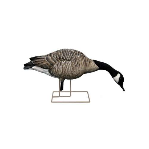 Avian-X AXP Honker Fusion Canada Goose Decoy 6 Pack