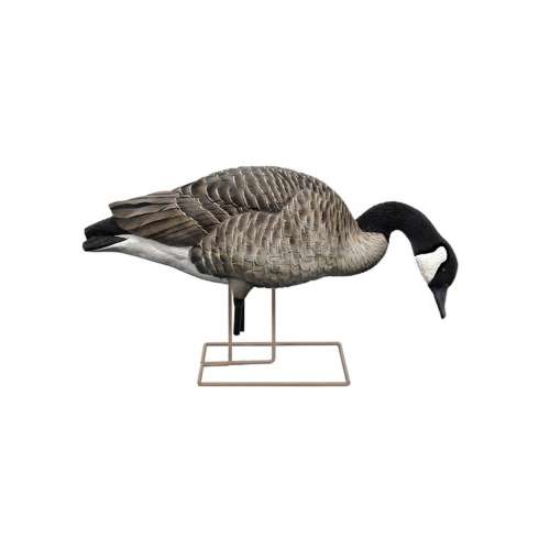 Avian-X AXP Honker Fusion Canada Goose Decoy 6 Pack