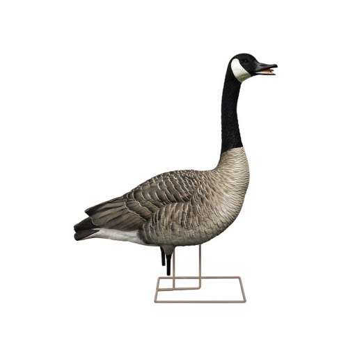 Avian-X AXP Honker Fusion Canada Goose Decoy 6 Pack