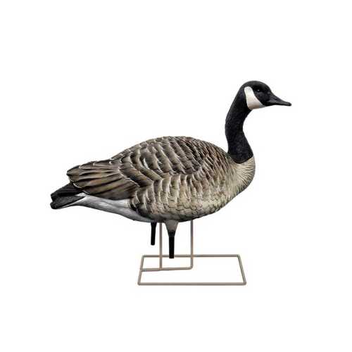 Avian X Axp Honker Fusion Canada Goose Decoy 6 Pack Scheels Com