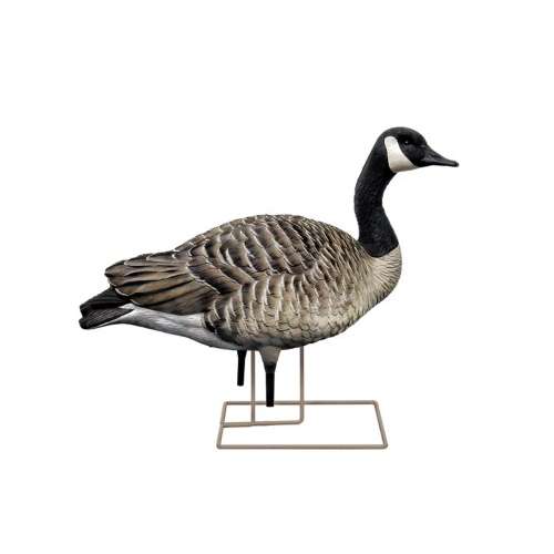 Avian-X AXP Honker Fusion Canada Goose Decoy 6 Pack