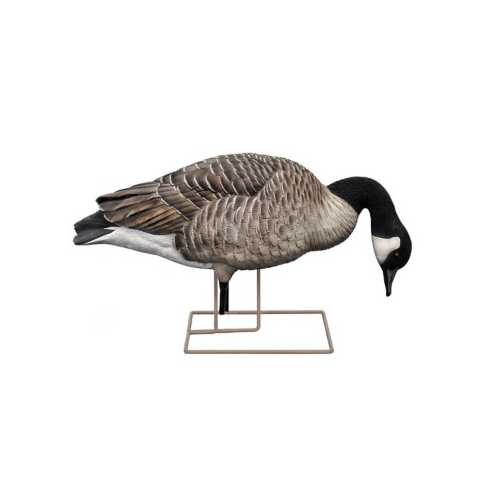 Avian X Axp Honker Fusion Canada Goose Decoy 6 Pack Scheels Com