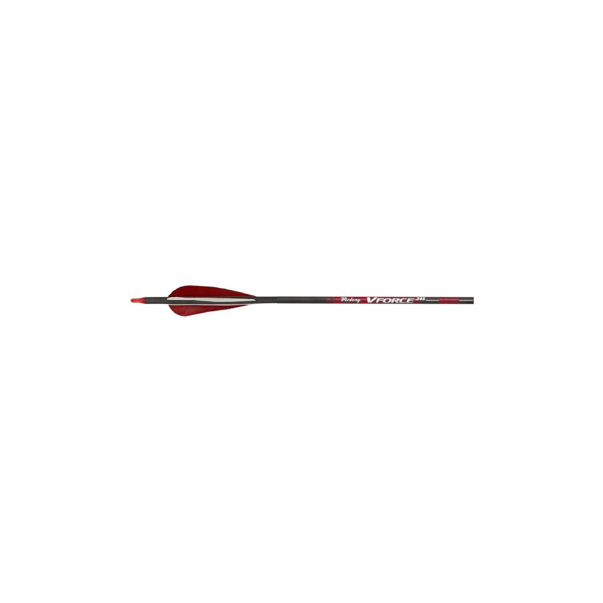 Scheels Outfitters Vendetta Pro Arrows