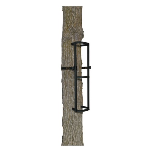 The Stagger Steps - Primary Image
