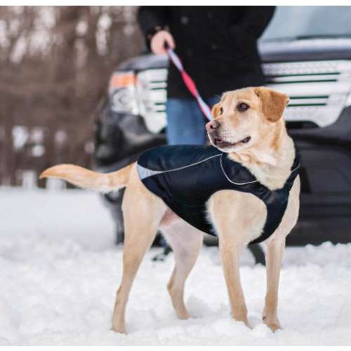 Kurgo North Country Dog Coat