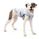 Kurgo Core Cooling Dog Vest