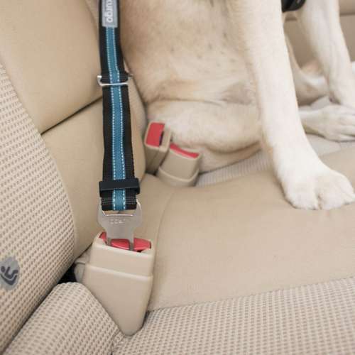 Kurgo Direct to Seat Belt Tether