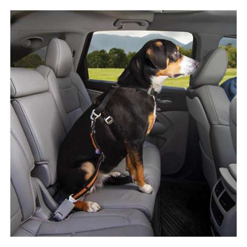 Dog seat belt shop tether with swivel