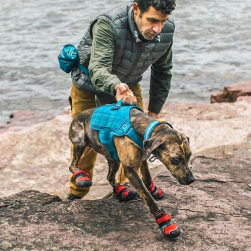 Kurgo RSG Dog Townie Harness