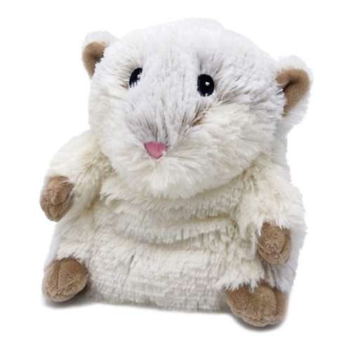 Hamster (Teddy Bear) For Sale - Pet City Houston