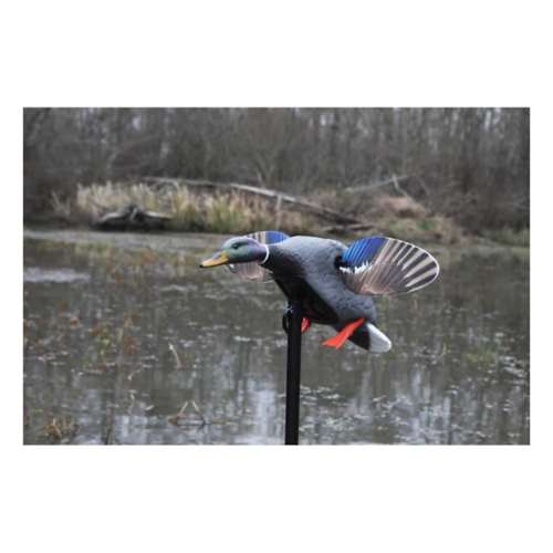 MOJO Elite Series Mini Mallard Drake Duck Decoy