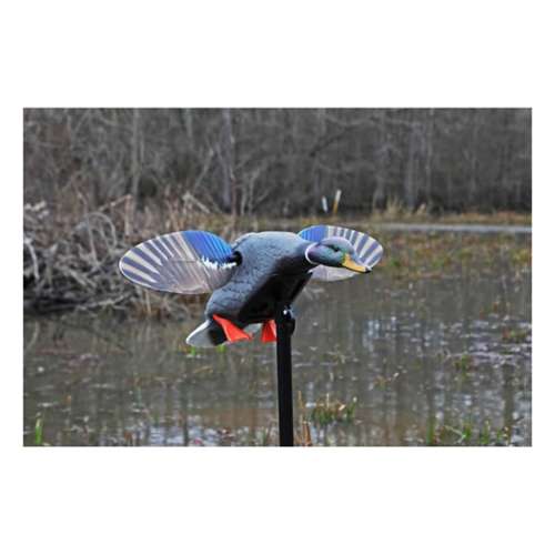 MOJO Elite Series Mini Mallard Drake Duck Decoy
