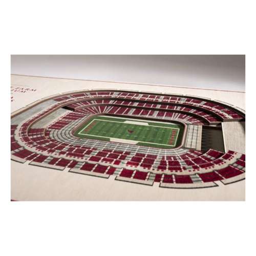 Arizona Cardinals 5-Layer Stadium View Wall Art