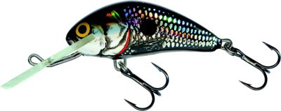 salmo baits