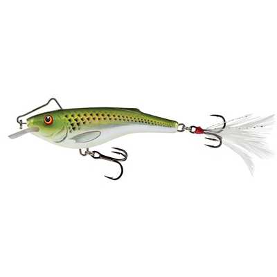 Holographic Green Shiner