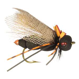 Fly Fishing Tackle: Flies & Accessories