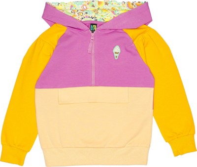Toddler Girls' Nano Colorblock 1/2 Zip Hoodie