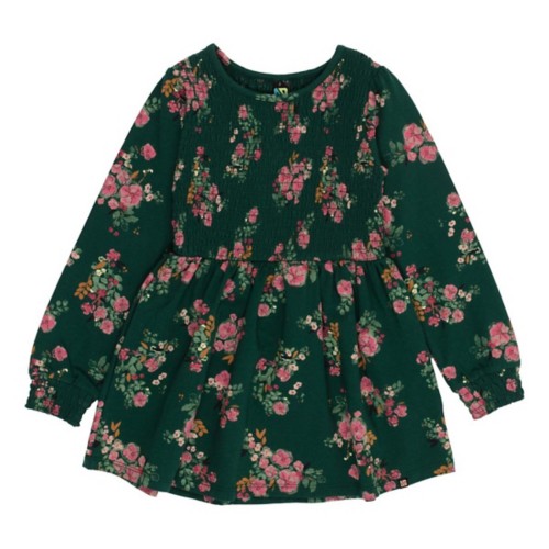 Toddler Girls' Nano Noruk Smocked Floral Garden Long Sleeve Dress - Primary Image