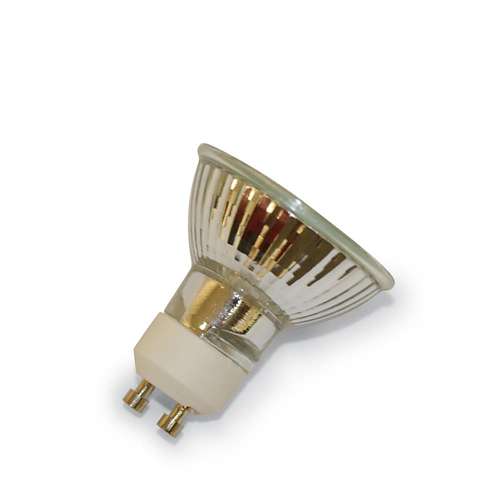 Northern Illinois Huskies. Plug In Bulb Replacement Halogen