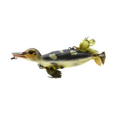 Wood Duck