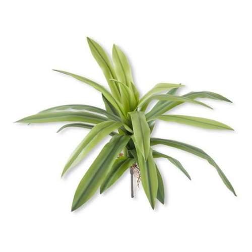 K&K Interiors Real Touch Agave Foliage Stem