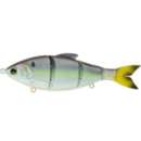 Wild Shad