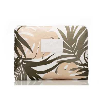 Tropics