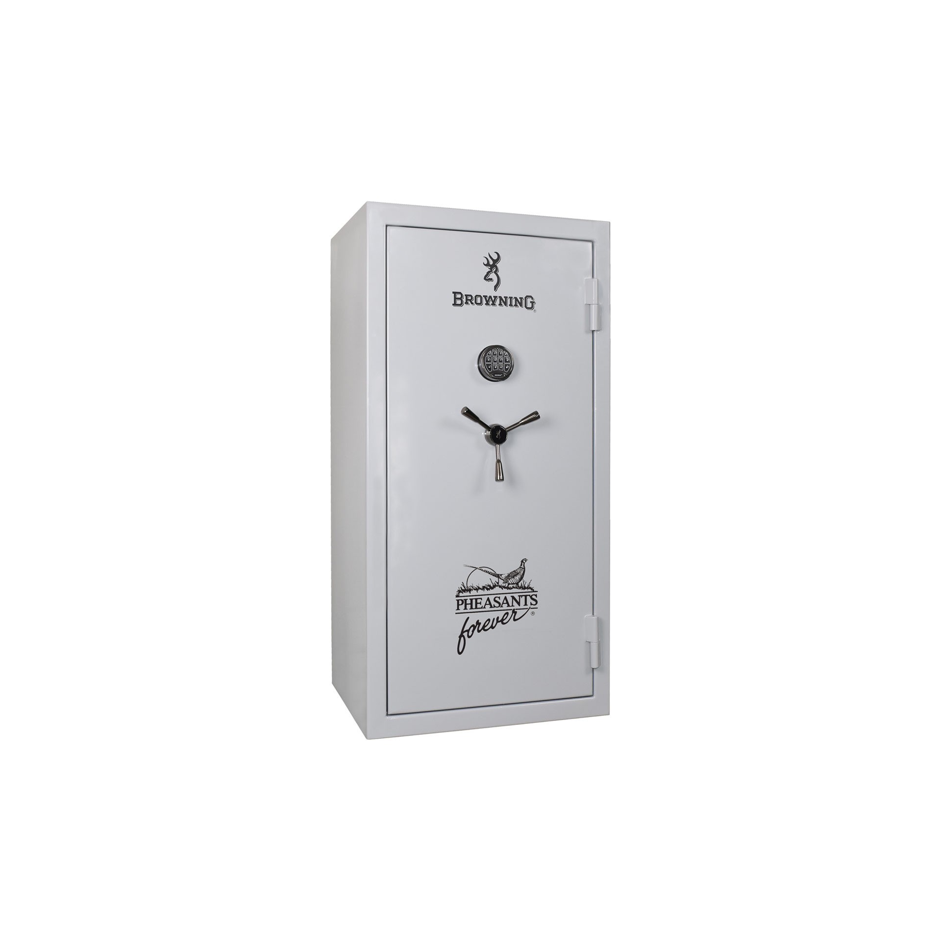 SnapSafe Premium 12-Gun Welded Cabinet