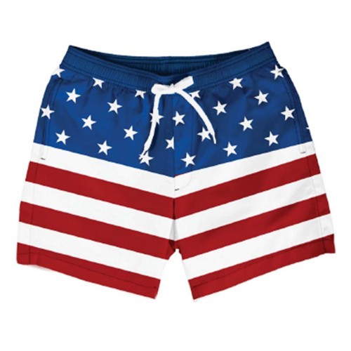 Men's Chubbies Lined Classic 4" Swim Trunks