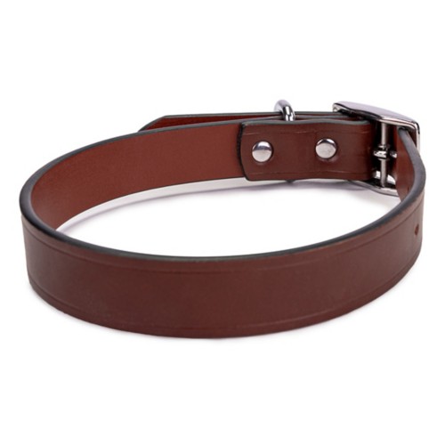 King Buck Leather Dog Collar