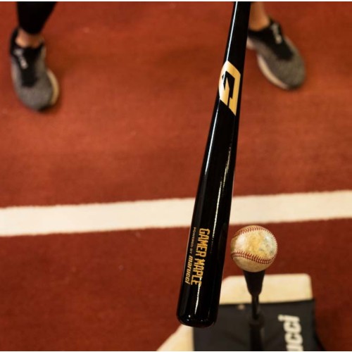 Adult Marucci Gamer Wood Baseball Bat | SCHEELS.com