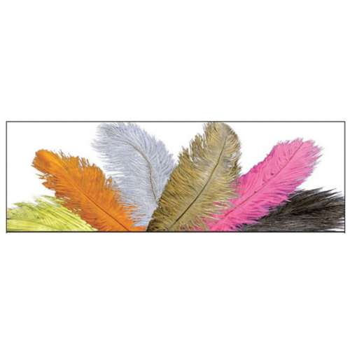 Montana Fly Ostrich Plume Feathers