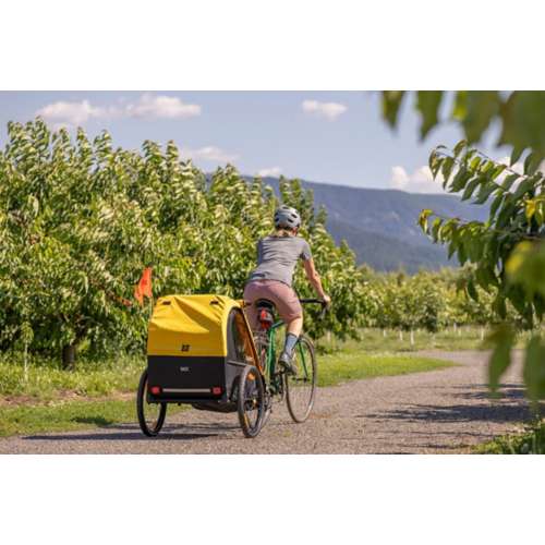 Burley bee bicycle online trailer