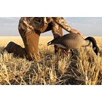 Men's Sitka Grinder Pants - Thumbnail 5 of 5