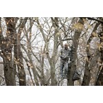 Men's Sitka Fanatic Jacket - Thumbnail 3 of 11