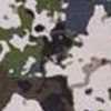 Cumbre Camo