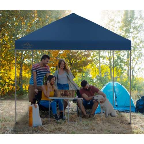 Carolina Panthers NFL 9' x 9' Straight Leg Tailgate Canopy Tent