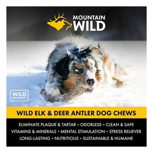 Mountain Wild Antler Dog Chews