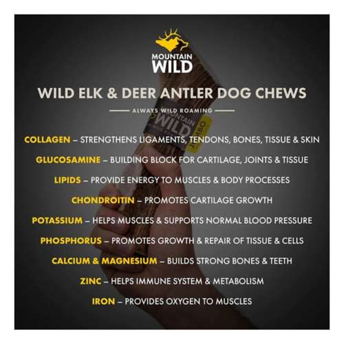 Mountain Wild Antler Dog Chews