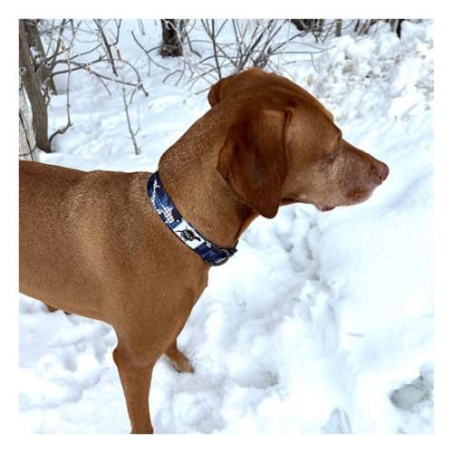 ROCT Outdoor Cascade Dog Collars
