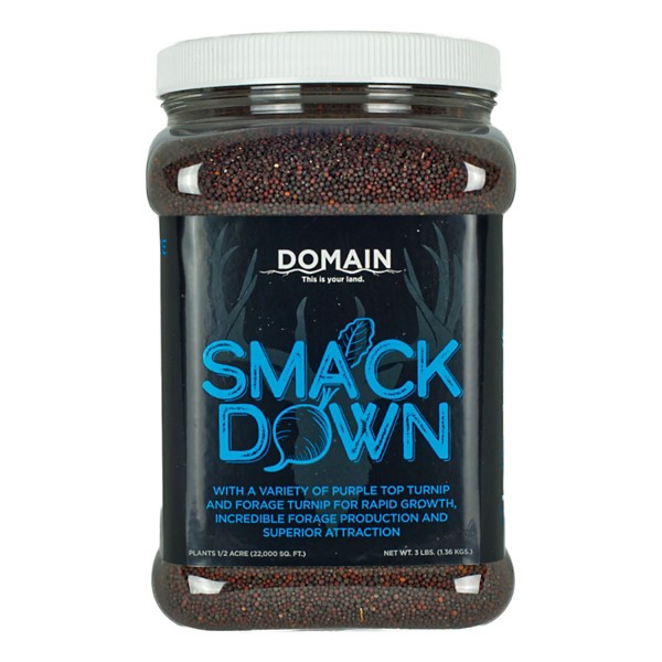 Domain Outdoor Smack Down